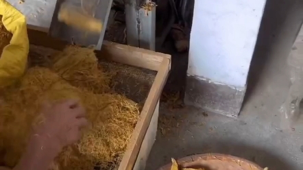 南雄烟丝发酵手卷烟熟丝,醇香口粮