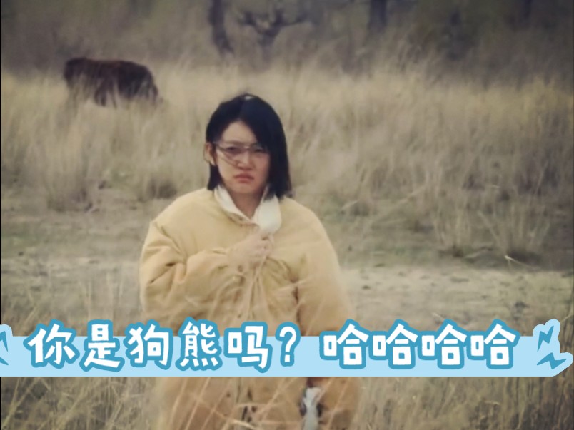 【自信回头的柴犬】最新视频来袭,快来看看吧!