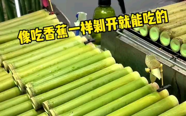 泰国香蕉竹糯米团哔哩哔哩bilibili