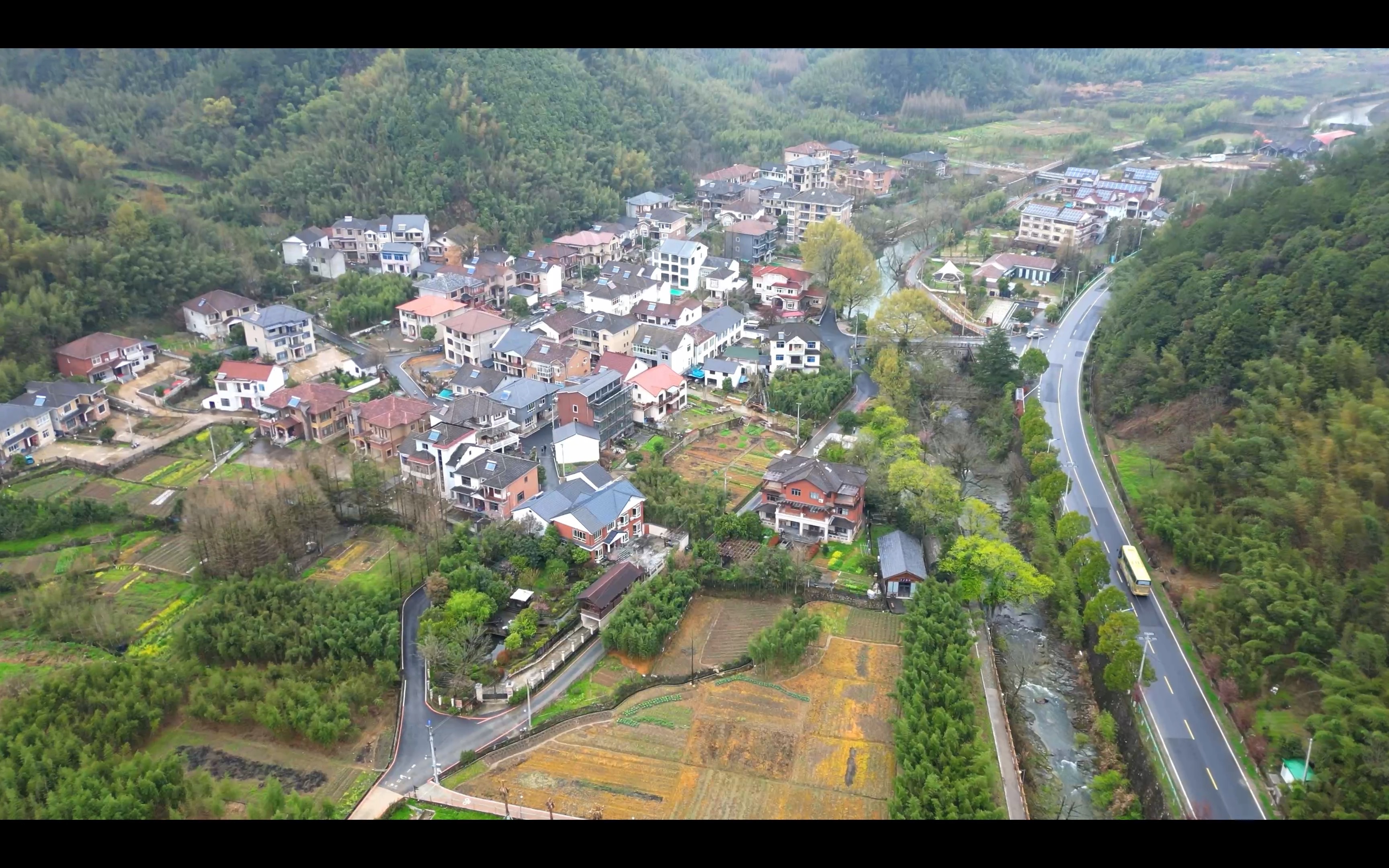 乡村振兴|临安月亮桥村的发展之路