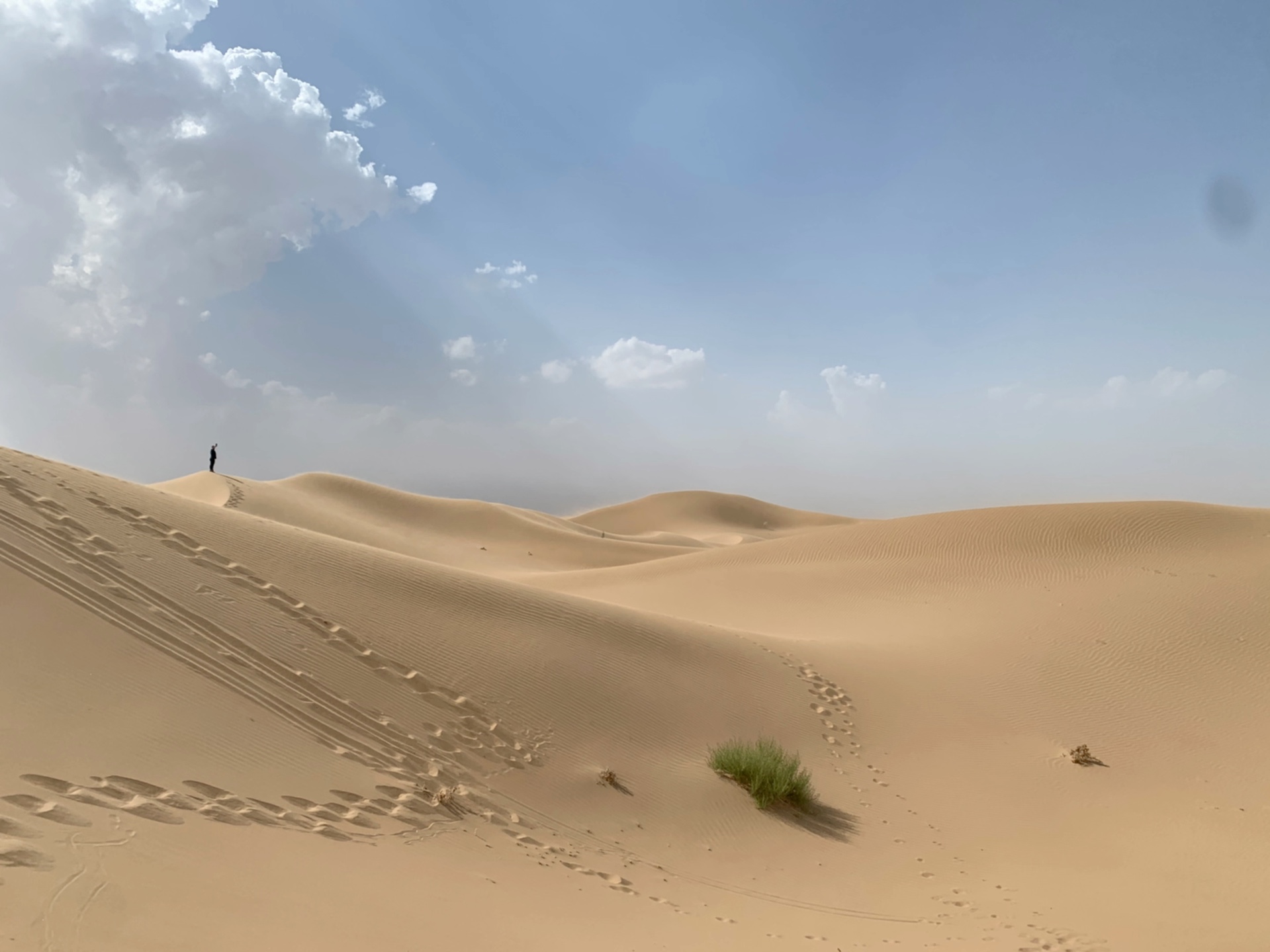 「沙丘」| ᑐ ᑌ ᑎ ᕮ