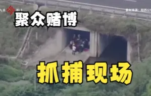 Tải video: 野外赌博，一锅端了！广东阳西警方抓36人，刑拘4人