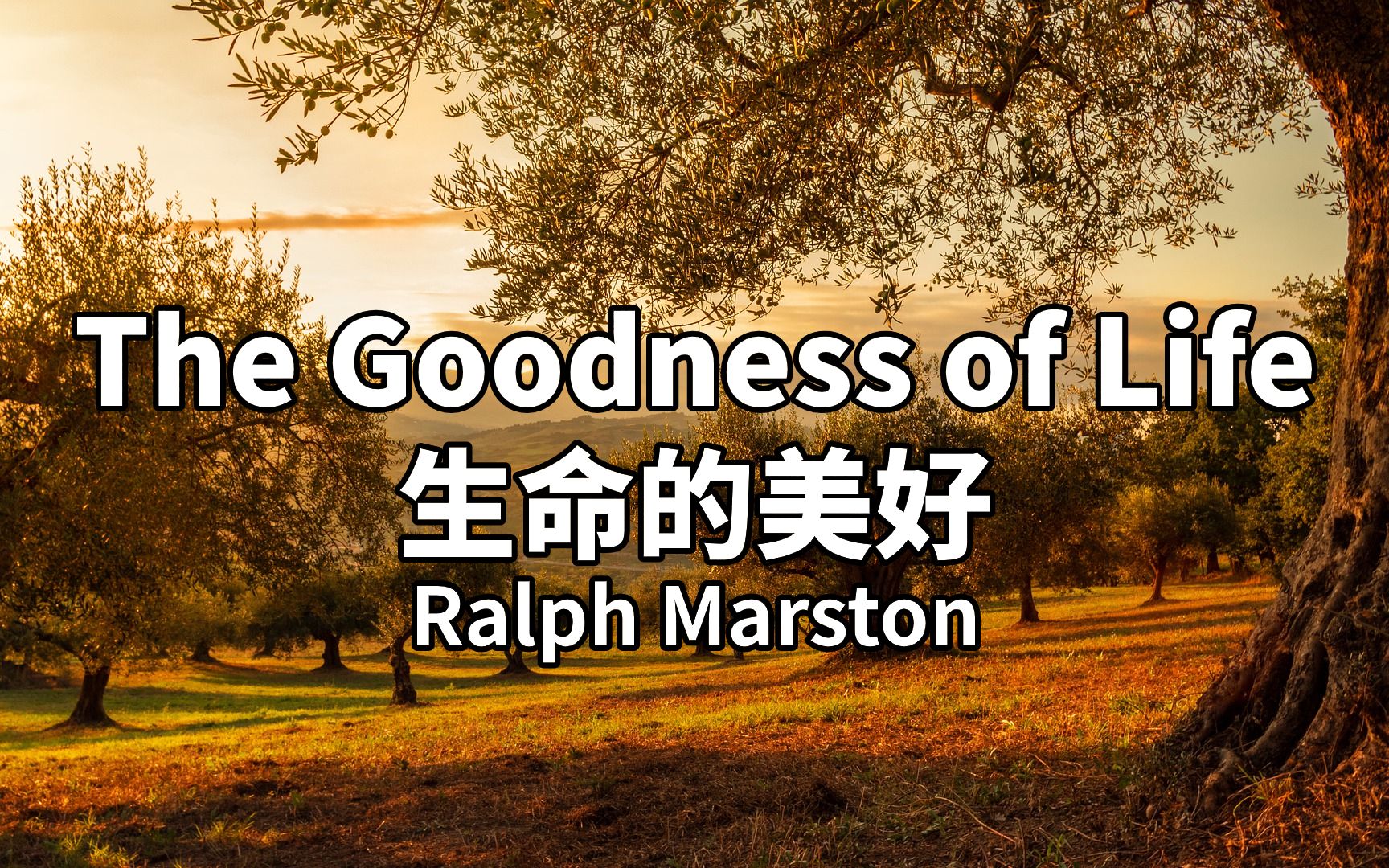 英语美文欣赏及学习:生活的美好,Goodness of Life,唯美配音,逐句解析,适合背诵哔哩哔哩bilibili