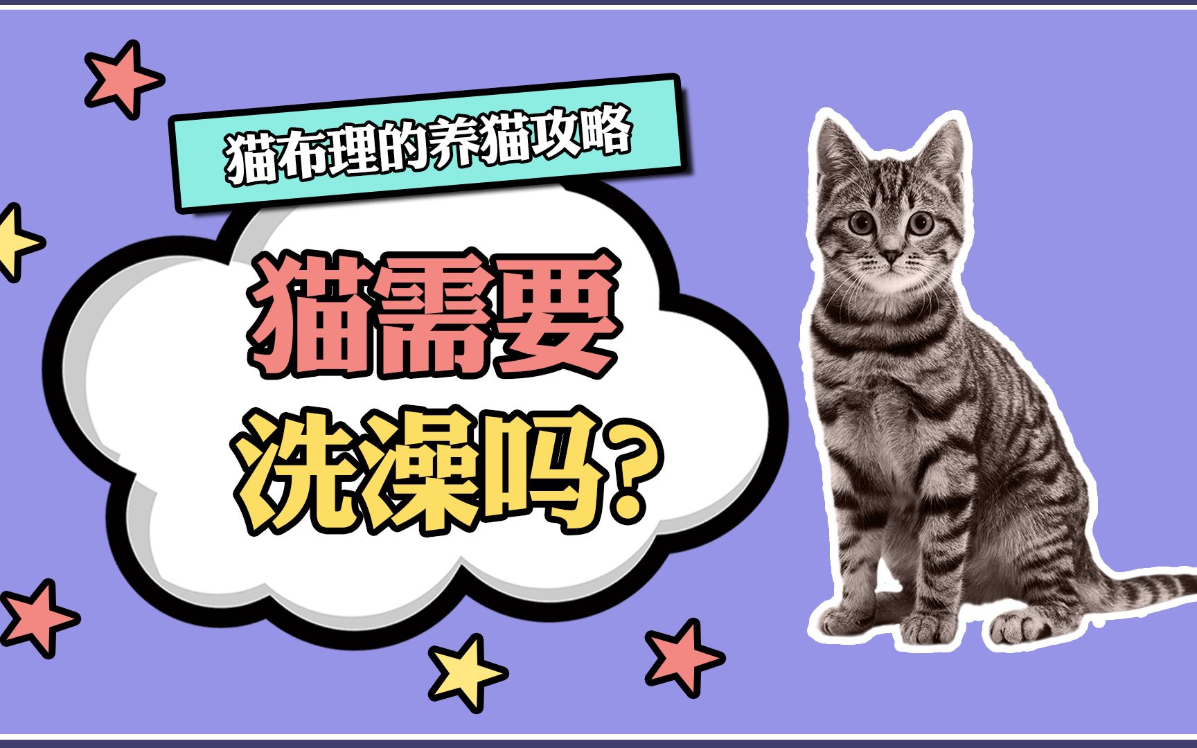 猫需要洗澡吗?哔哩哔哩bilibili