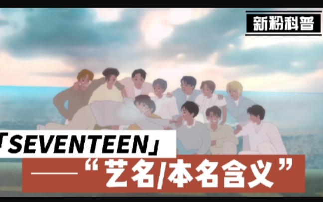 【SEVENTEEN】本名/艺名含义 艺名和本名看起来都很大发的小十七哔哩哔哩bilibili