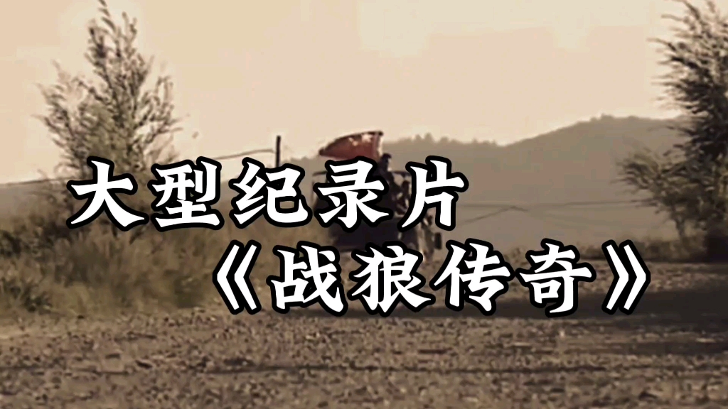 大型纪录片《战狼传奇》