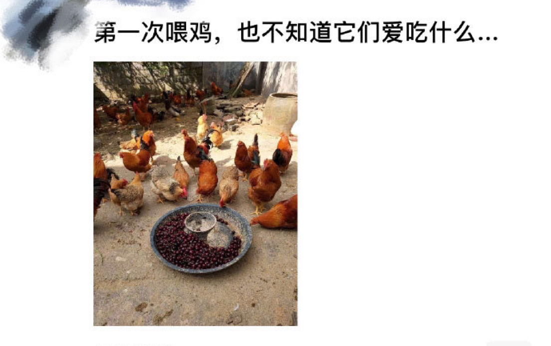 网络上那些让人笑到窒息的沙雕图(・ω・´) 第一百一十六期_
