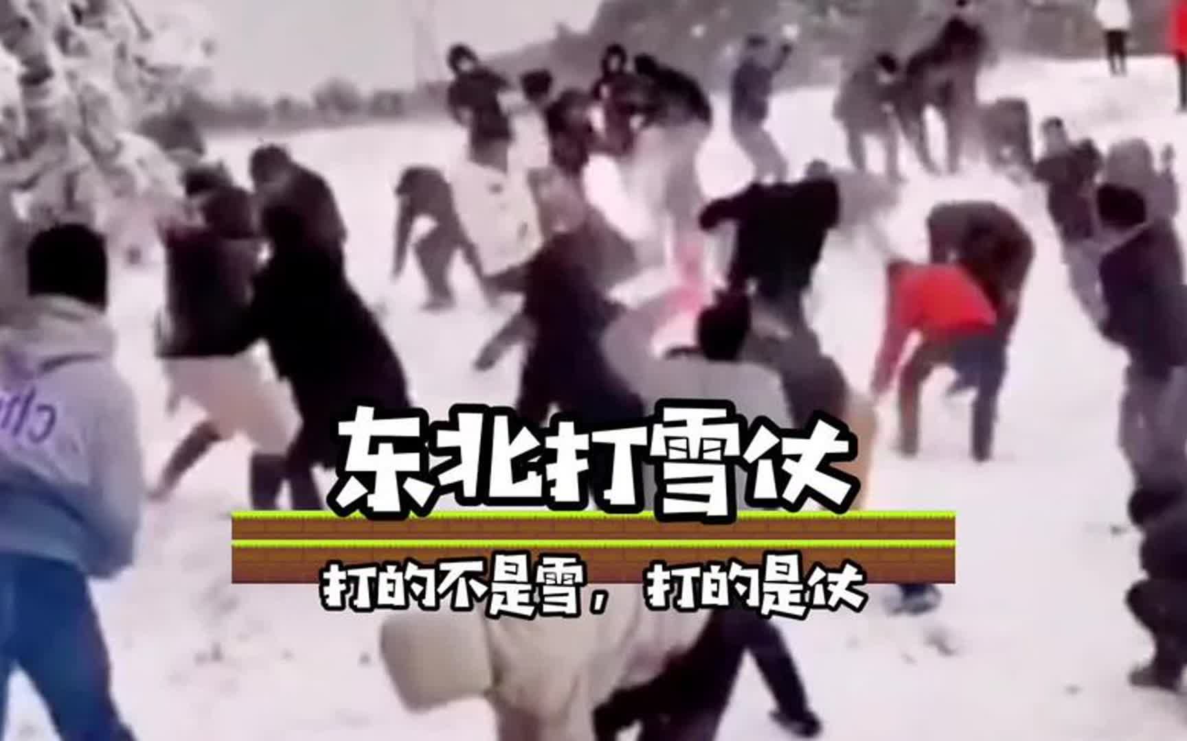 东北打雪仗打的不是雪,打得是仗#万万没想到 #离谱 #打雪仗