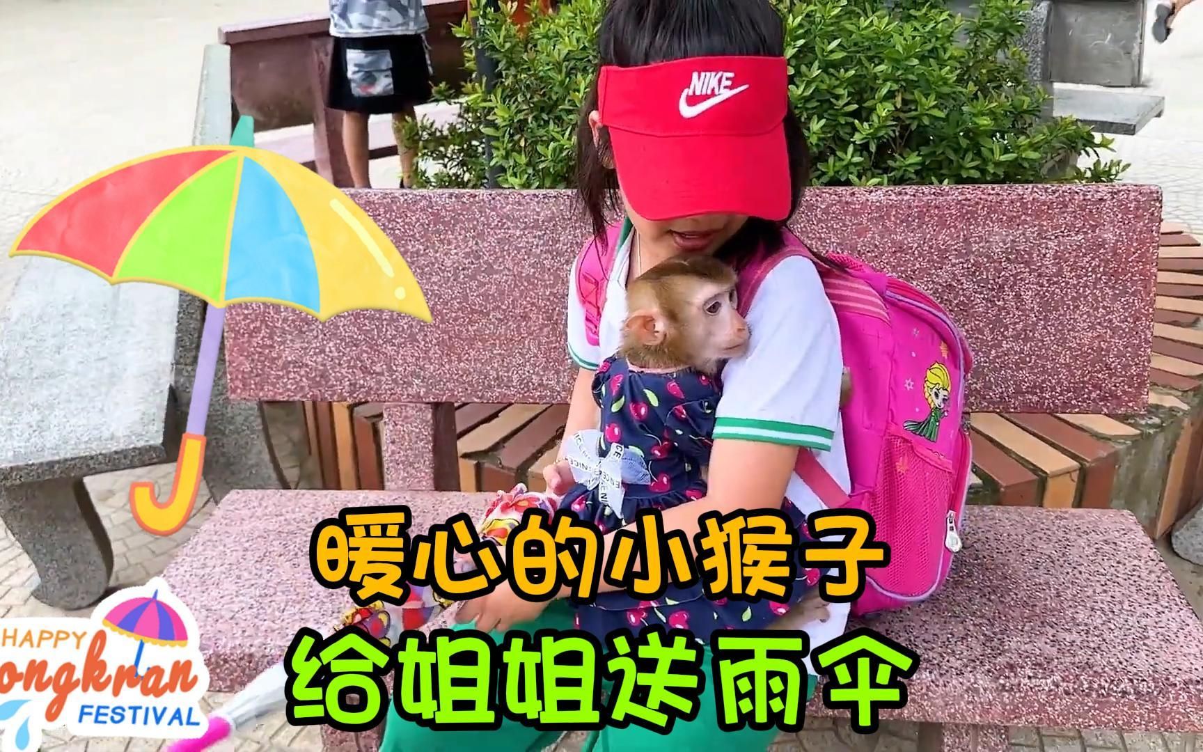 姐姐去学校忘记带雨伞,小猴子卡卡冒雨给姐姐送伞,真的是太暖心哔哩哔哩bilibili