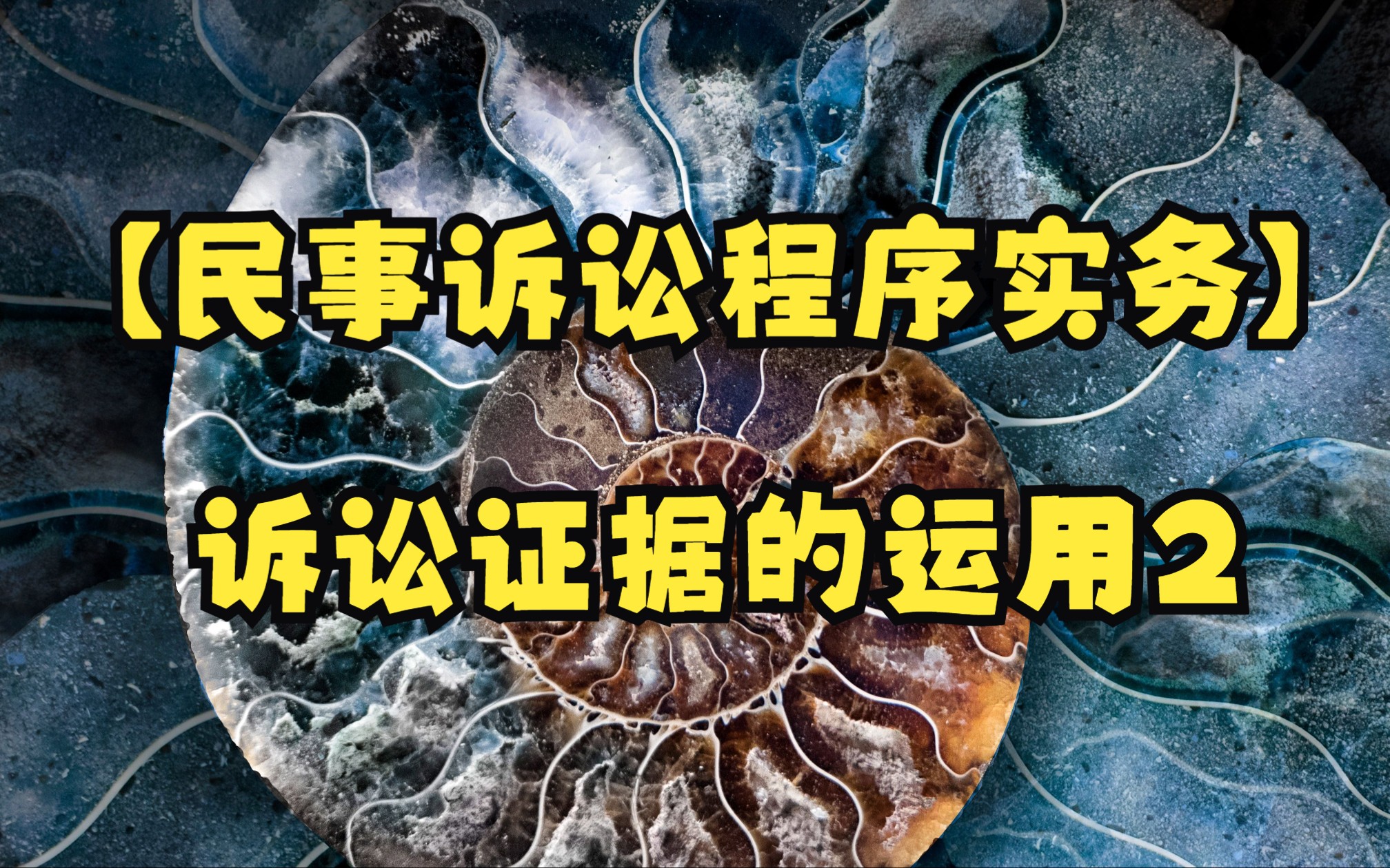 【律师实务】【民事诉讼程序实务】对诉讼证据的运用 2哔哩哔哩bilibili