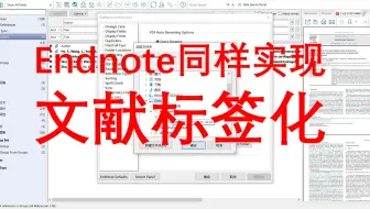 【技巧】Endnote能：给文献加标签