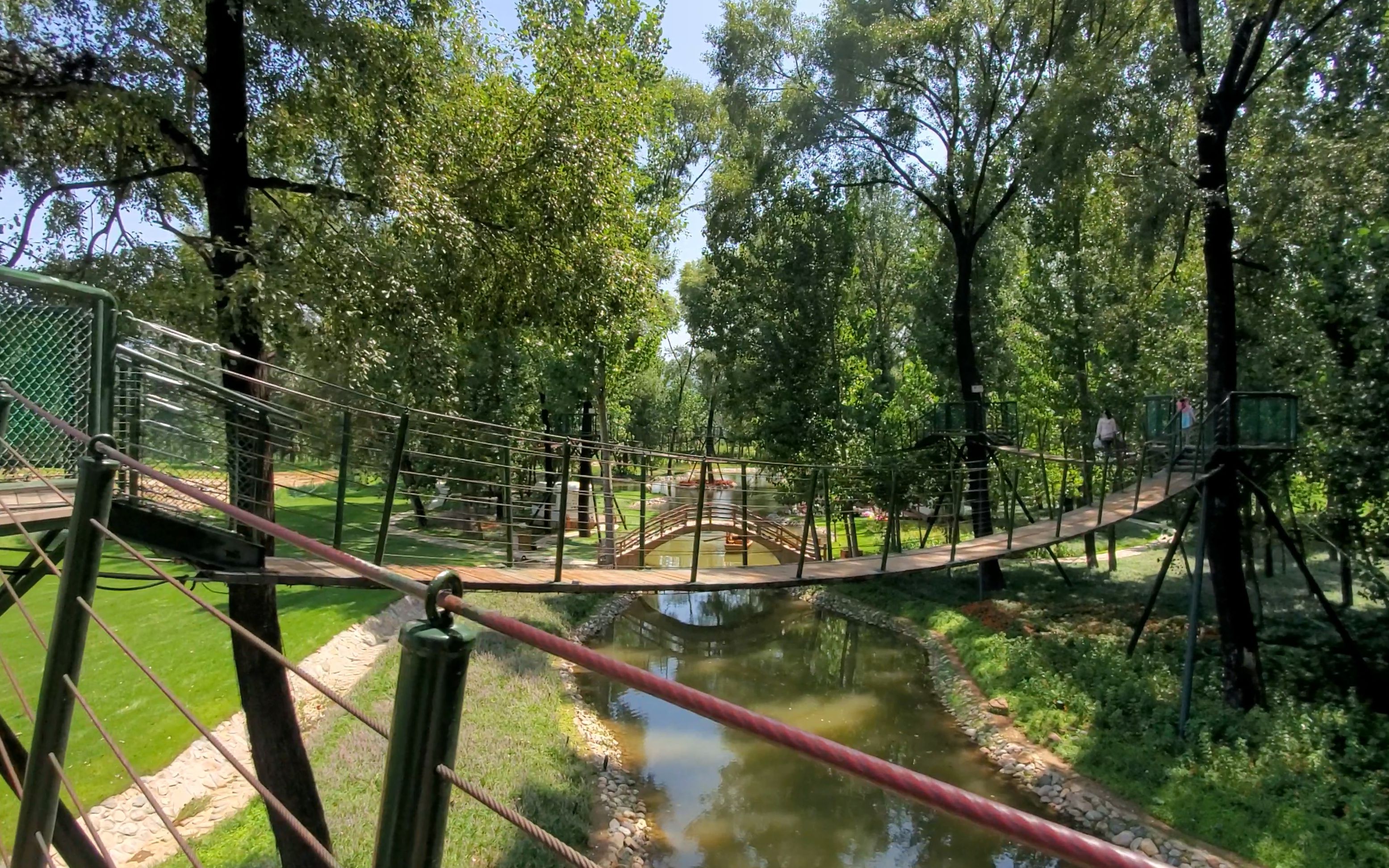 20200802~潘考拉~树桥公园