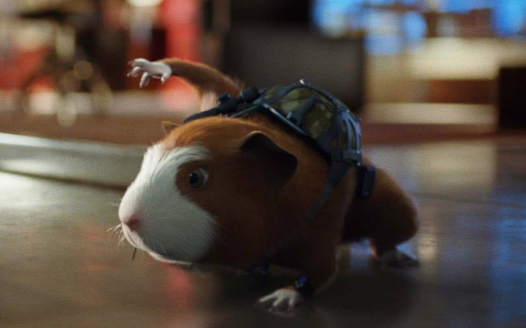 小老鼠为了给父母报仇,成为了一名超级特工,一部喜剧动物电影