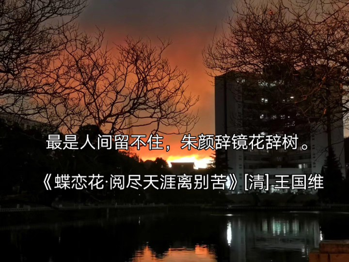 “最是人间留不住,朱颜辞镜花辞树.”,有关时间流逝的诗句哔哩哔哩bilibili