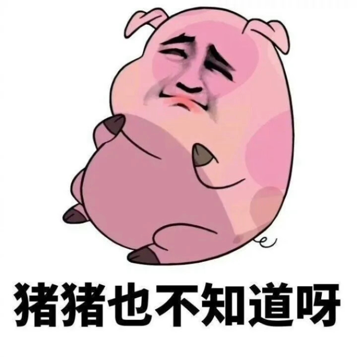 猪猪搞笑图片
