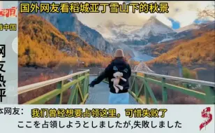 Скачать видео: 国外网友看稻城亚丁雪山下的秋景，日本网友：差点成为我们的领土