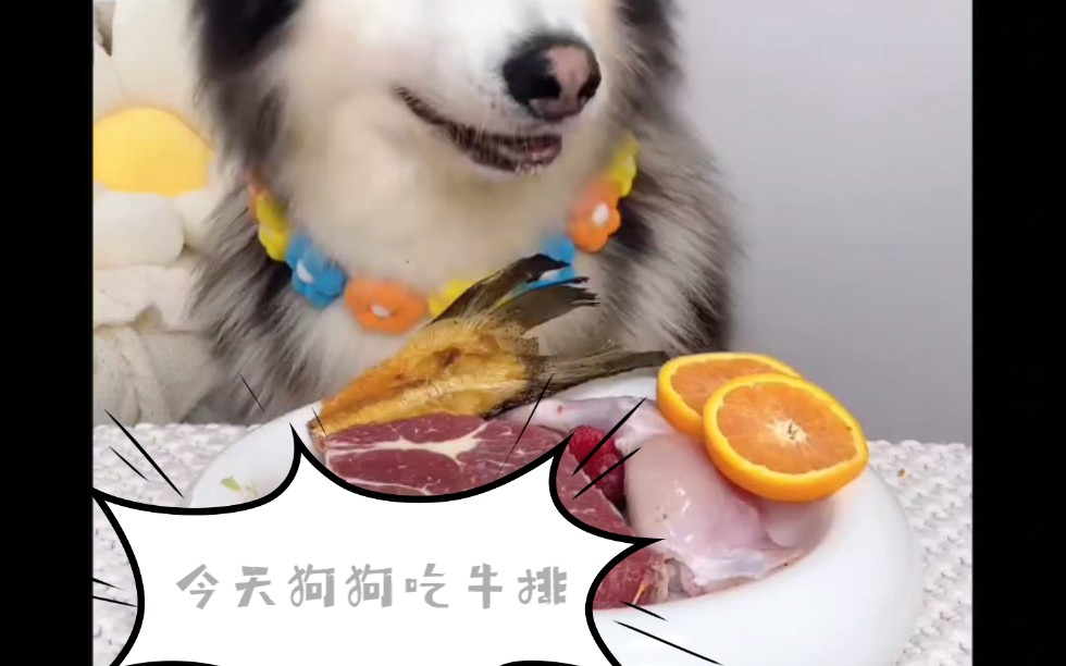 狗彘食人食而不知检