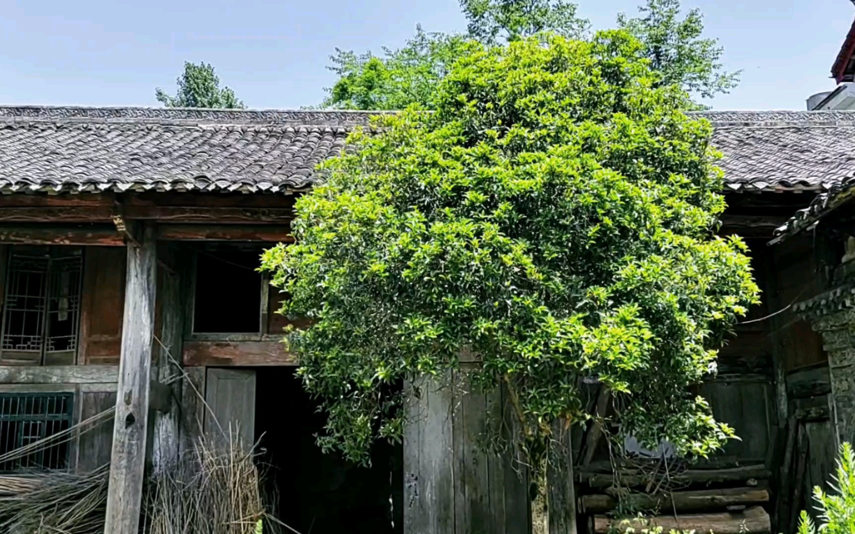 陕西省汉中市南郑区,濂水镇颜氏民居.2018年7月3日,公布为第七期陕西省文物保护单位哔哩哔哩bilibili