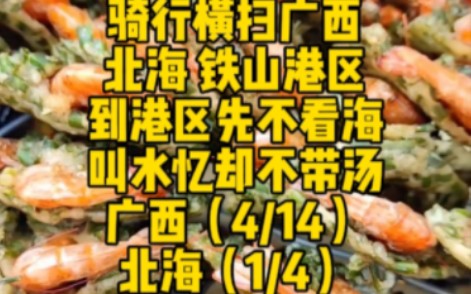 【骑行横扫广西】北海站之铁山港区 未到北海已被剧透 老街很有看头 南康水籺猜猜是啥哔哩哔哩bilibili