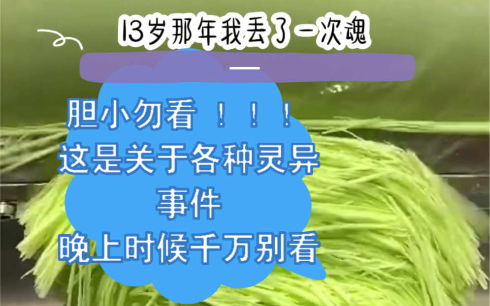 风云人生1.十三岁的时候我丢过一次魂,干了一辈子算命行当的爷爷为我招魂.魂回来了,可我却不记得十三岁之前的记忆了.爷爷说那天晚上回来的不...