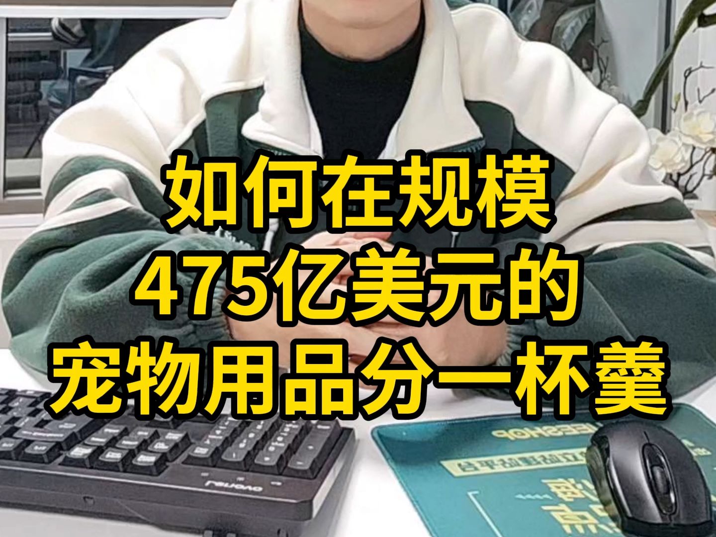 如何在规模475亿美元的宠物用品分一杯羹哔哩哔哩bilibili