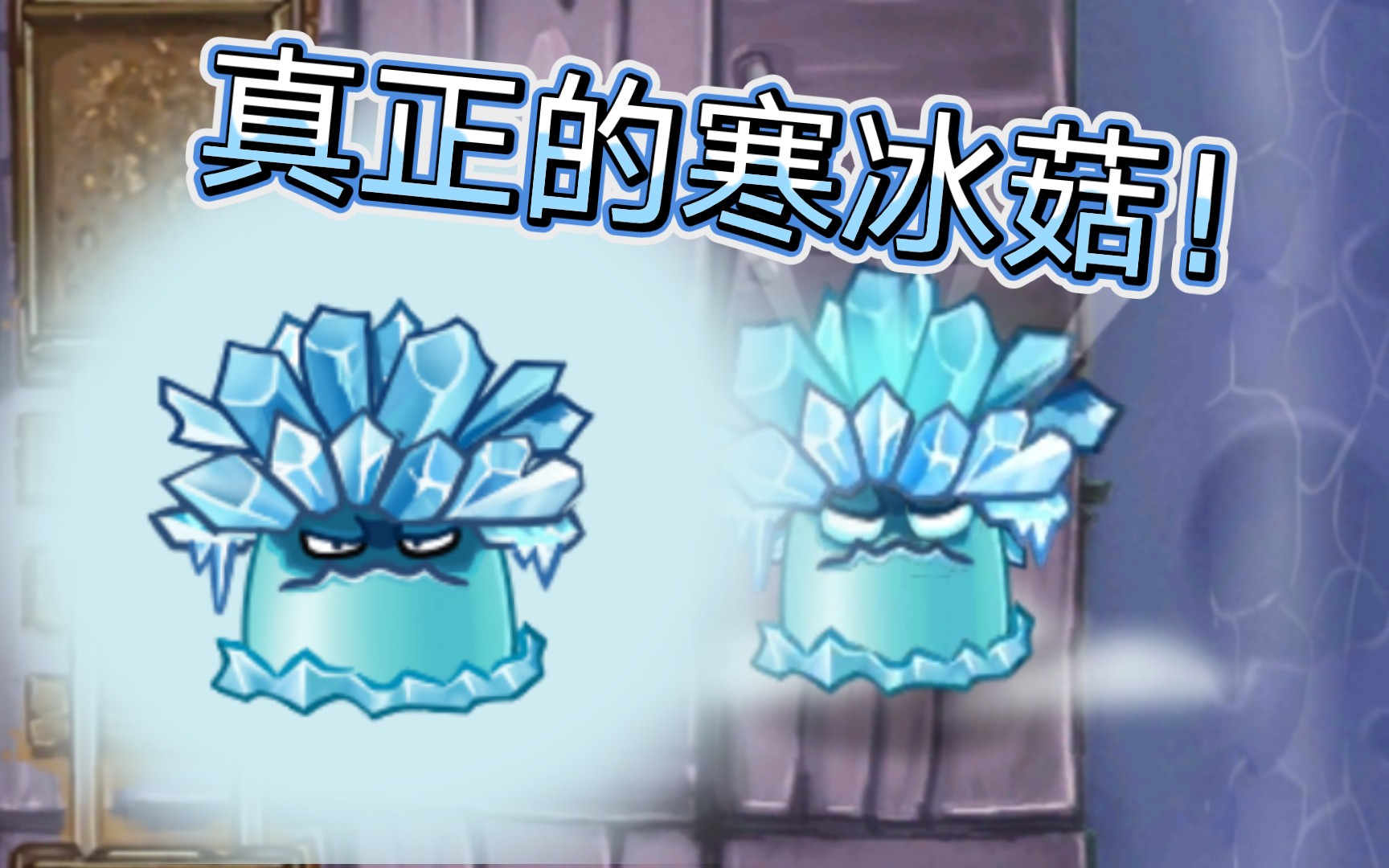 我去,寒冰菇来到了pvz2? - pvz2 edgest