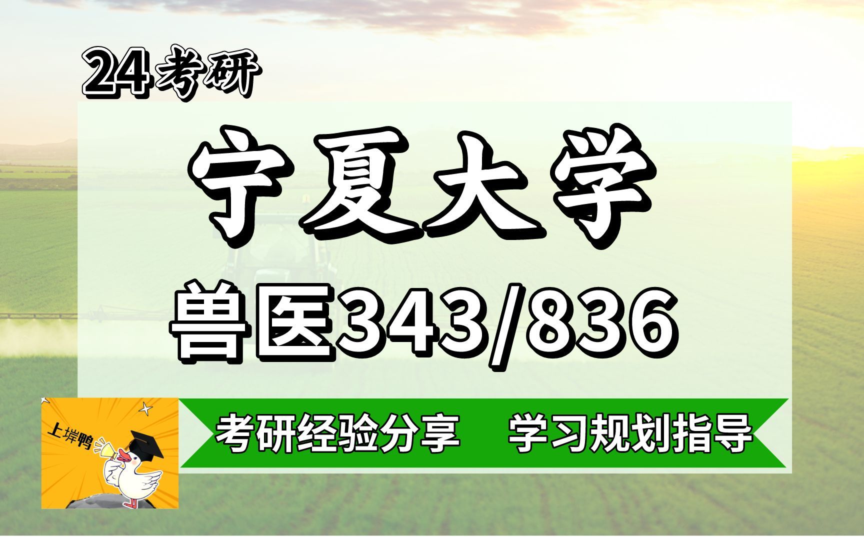 24宁夏大学兽医343/836考研专业解读考情报录比分析哔哩哔哩bilibili