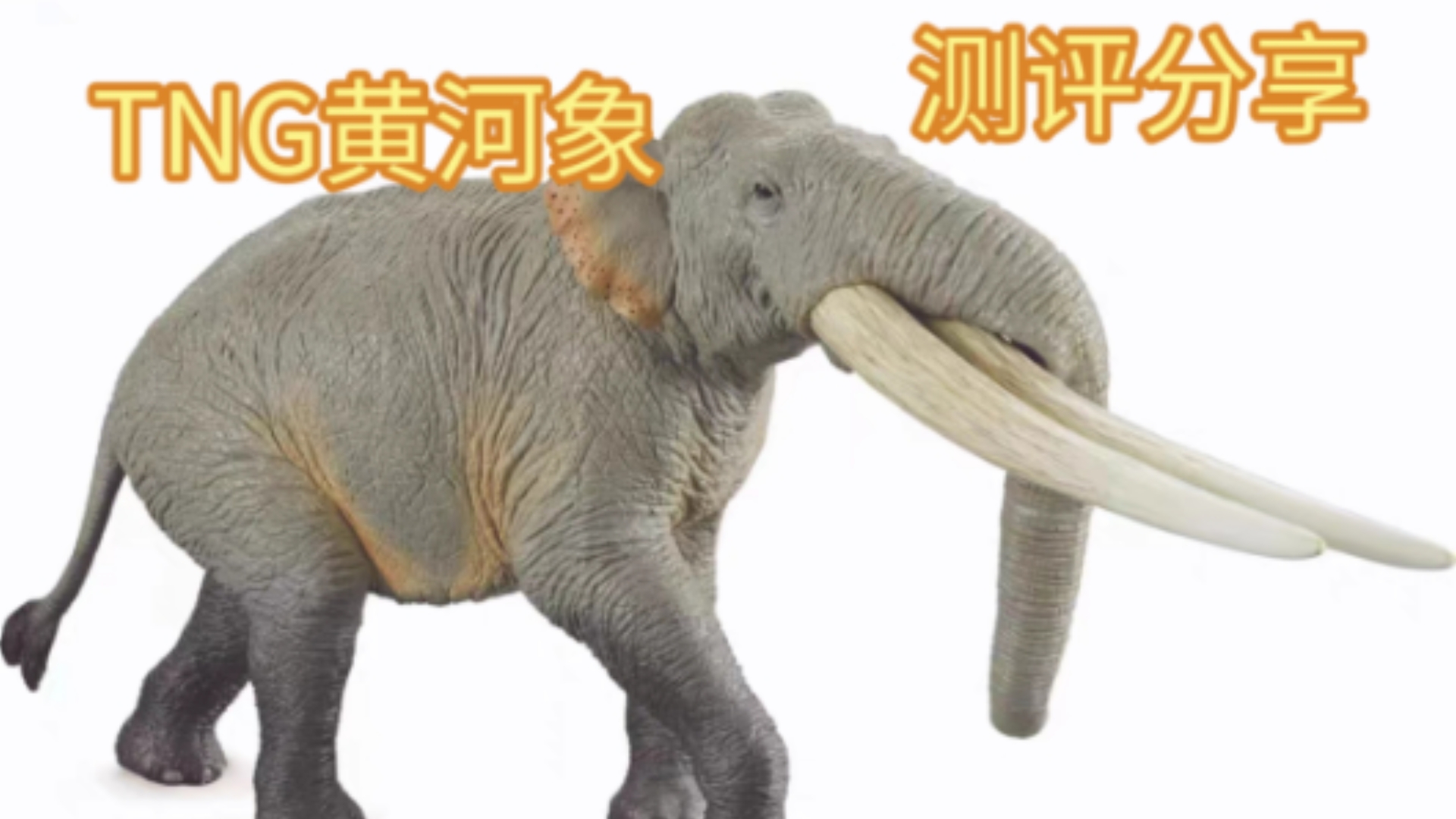 古兽模型中的佳作