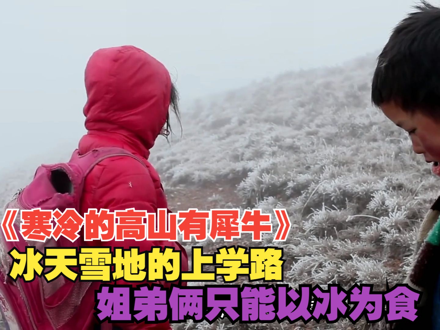 [图]《寒冷的高山有犀牛》解说：冰天雪地上学路，姐弟俩只能以冰为食