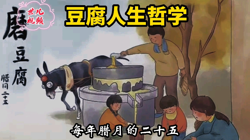 《豆腐人生哲学》哔哩哔哩bilibili