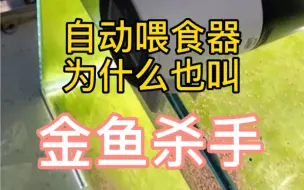 Download Video: 自动喂食器为什么也叫金鱼杀手？