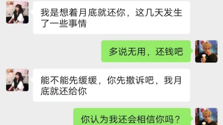 网恋被骗,起诉立案成功后,主动联系来还钱了哔哩哔哩bilibili