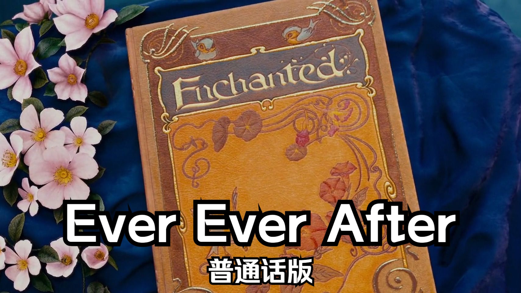 魔法奇缘——Ever Ever After 普通话版哔哩哔哩bilibili