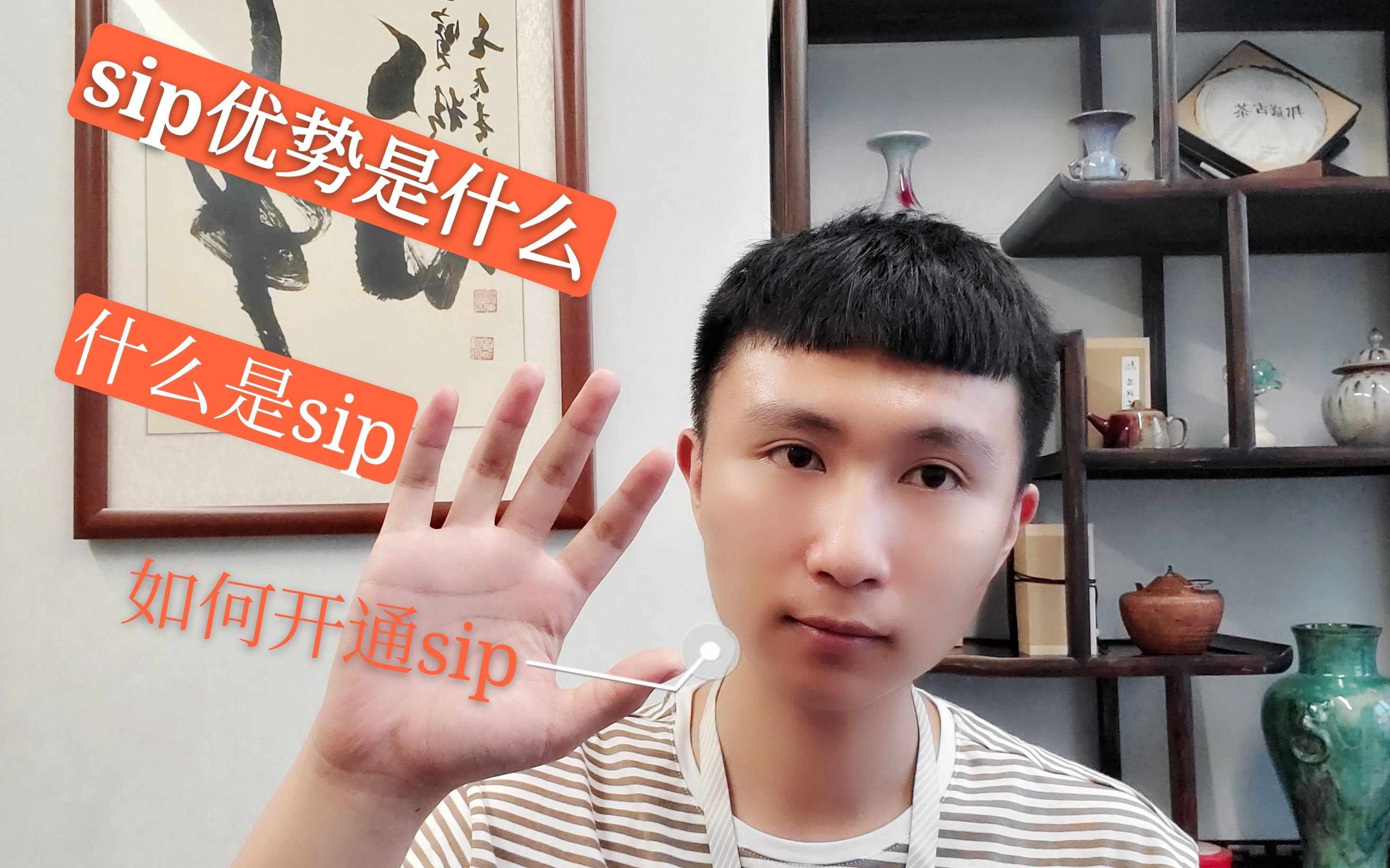 跨境电商shopee的sip功能是什么?应该如何申请,优势是什么哔哩哔哩bilibili