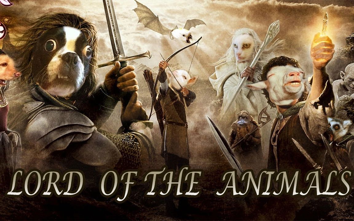 lord of the animals