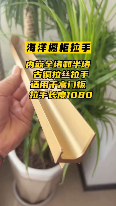 ...适用于不同门板的拉手可按需定制,10多年橱柜门板源头工厂,虽然不能给你免费,但肯定给你最大的优惠和优质的服务~ #橱柜免拉手 #橱柜拉手 #山东橱...