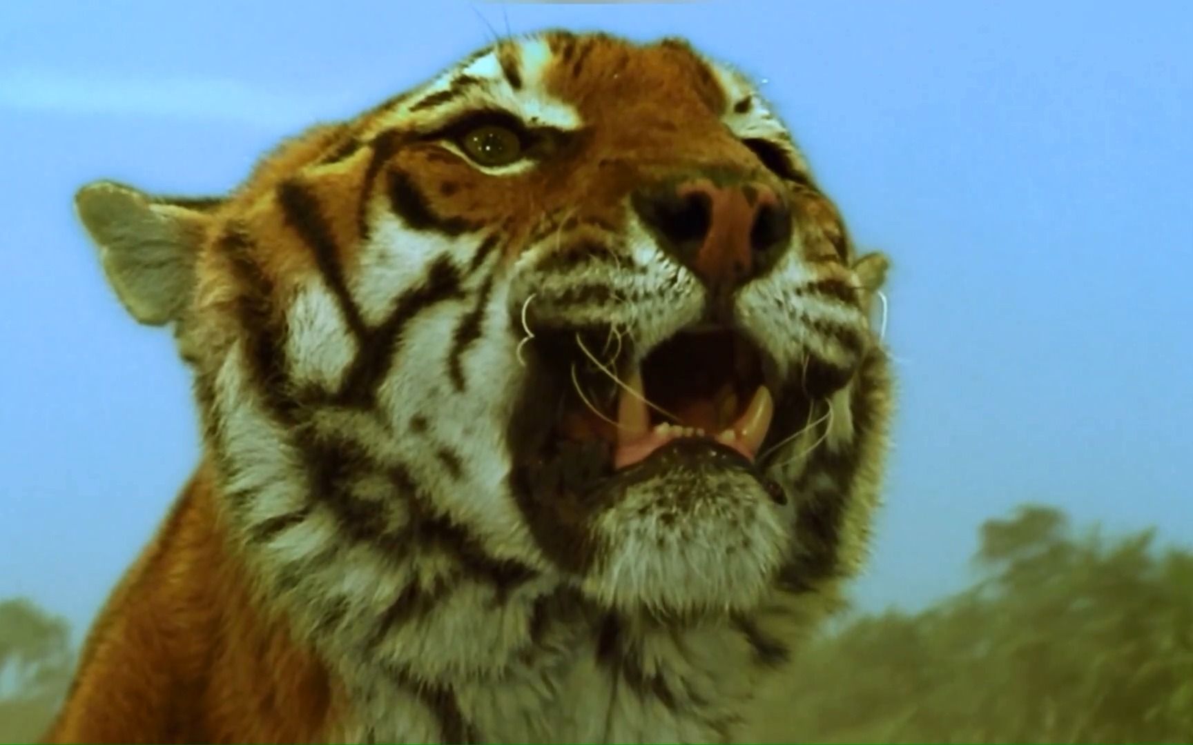 1_电影名:虎兄虎弟 @快手热点(o40300129) #提到了你 #快手电影 #快手