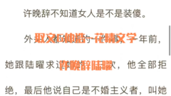 抖音热推主角小说《许晚辞陆曜》全章节阅读《陆曜许晚辞》已完结哔哩哔哩bilibili