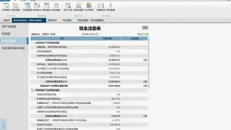 如何用云审快速编制现金流量表（有声版）