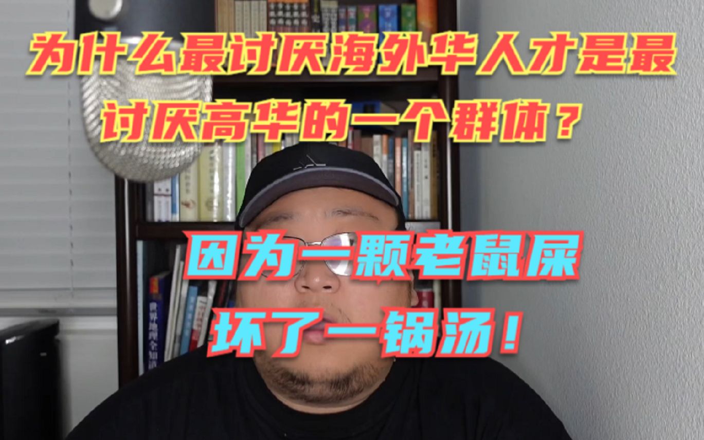 有很多海外华人觉得自己是高华?其实最讨厌高华的恰恰是海外群体!一颗老鼠屎,坏了一锅汤!哔哩哔哩bilibili