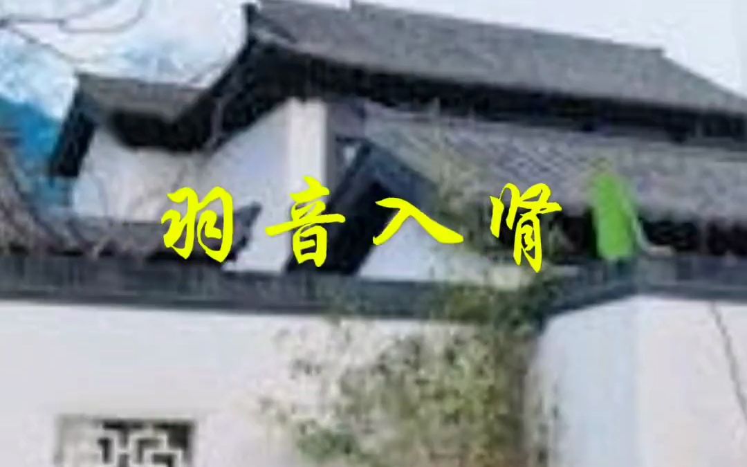 [图]古琴《墨缘》完整版，五音疗愈，静心安神，提升正气。#弘扬国乐#五音疗愈#国风古韵#健康养生#