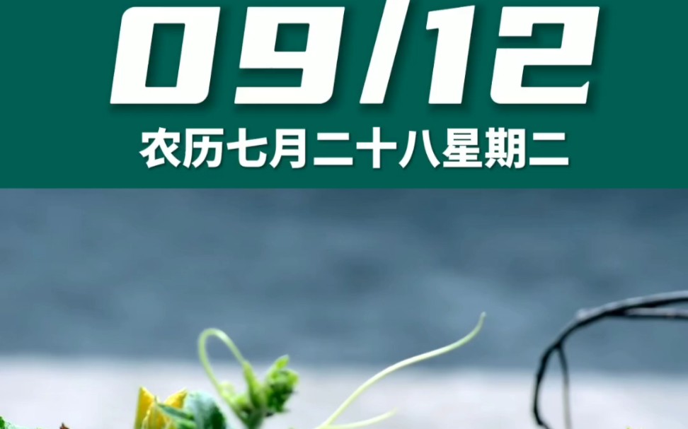 早上好啊今天是2023年9月12日星期二 处女座农历七月二十八 癸酉日十二建除的建日 玉堂黄道日,喜神在东南 财神在正南幸运数字:3、6哔哩哔哩bilibili