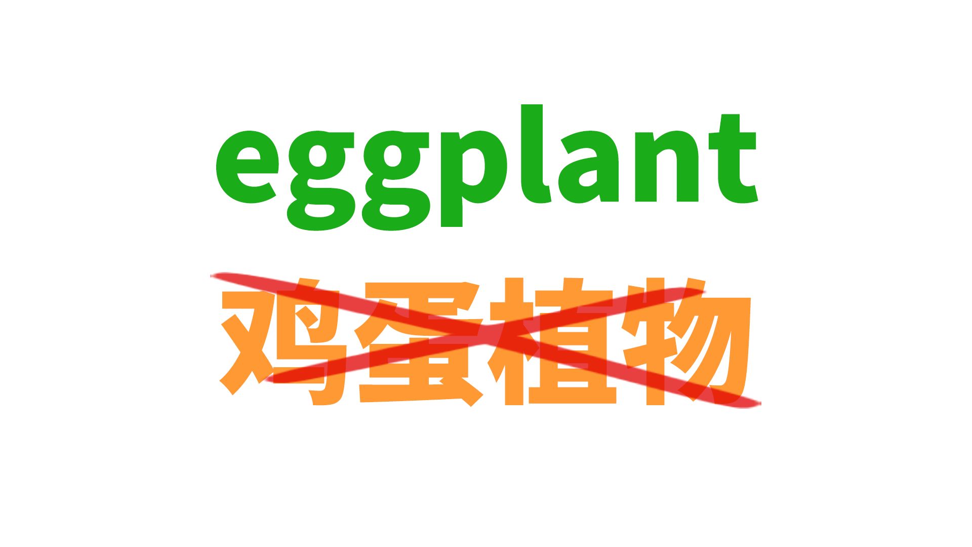 eggplant可不是“鸡蛋植物”!哔哩哔哩bilibili