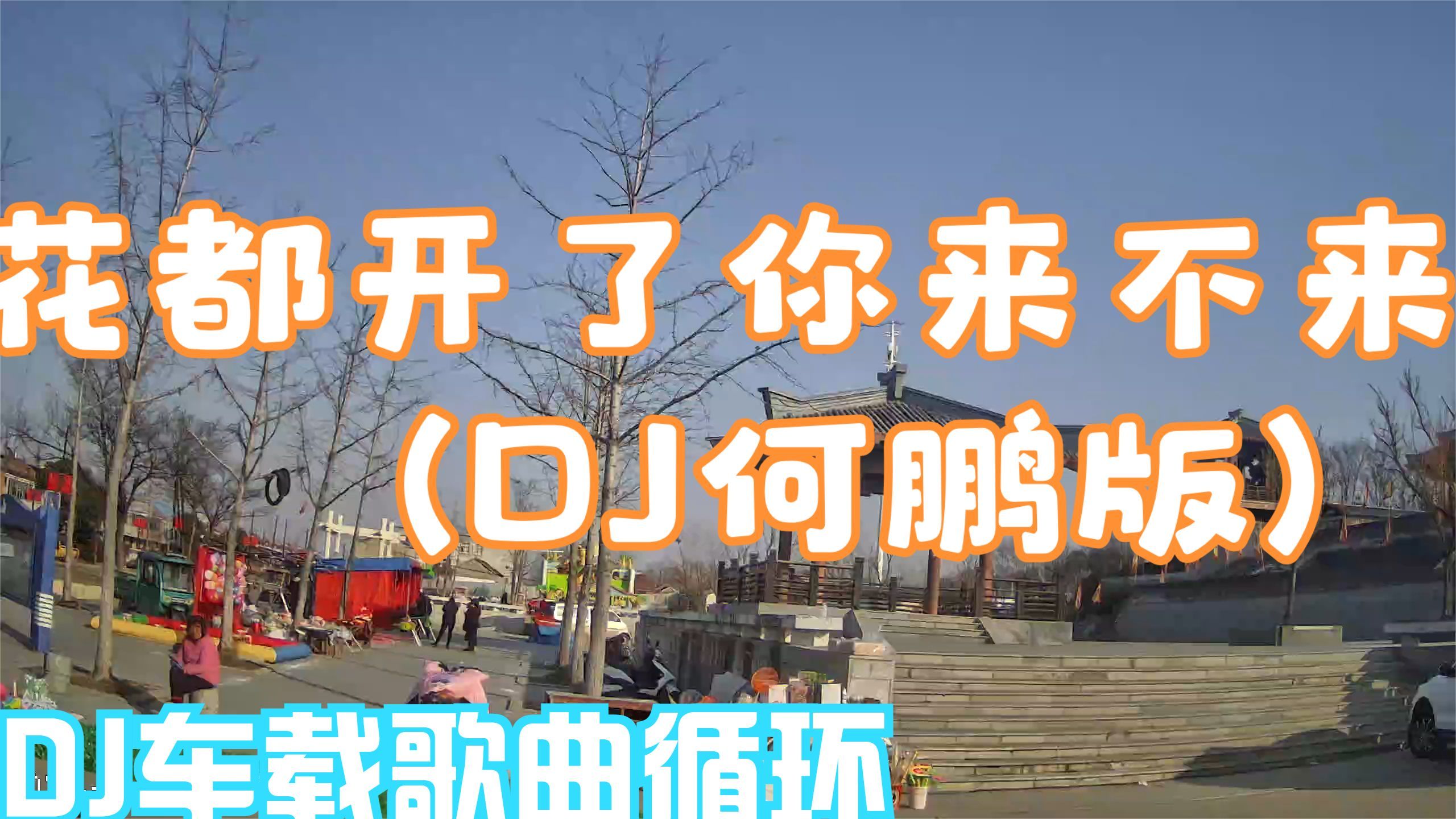 [图]花都开了你来不来 (DJ何鹏版)