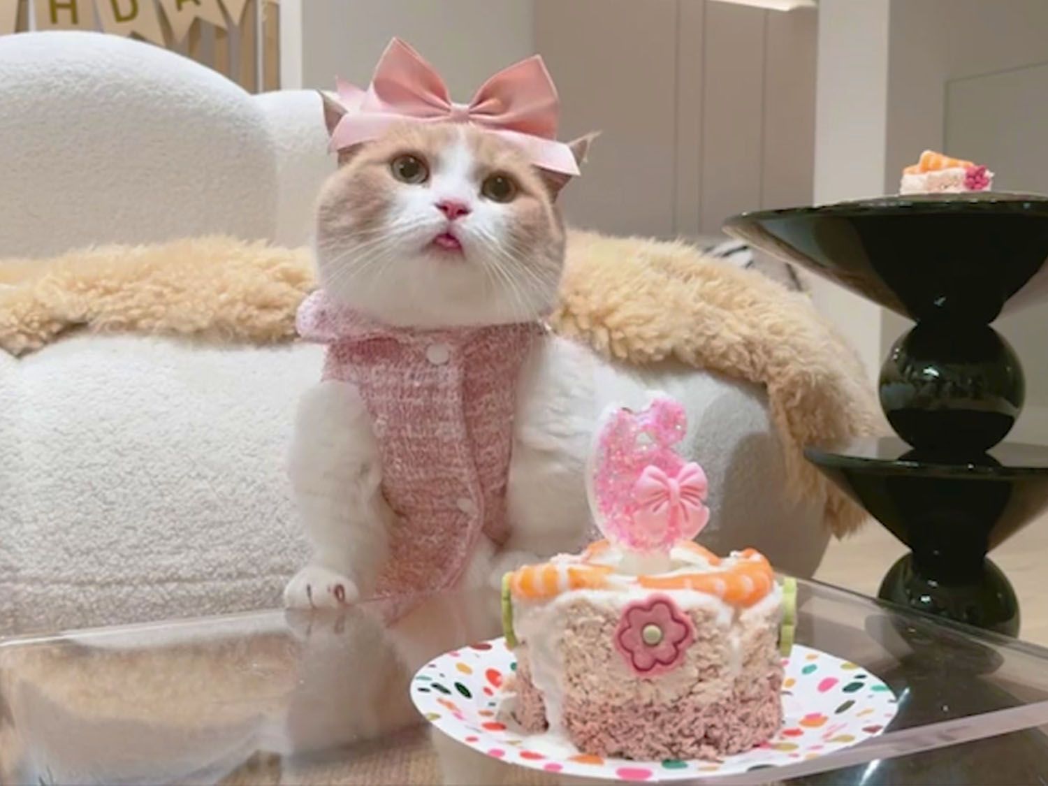 【喵来啦直播录屏20240423】-大v姐养猪场-大v姐养猪场-哔哩哔哩视频