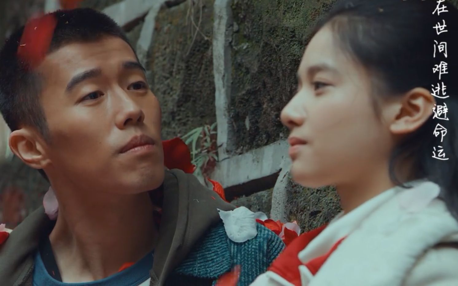 还以为自己真的很难快乐了一见到你就笑了风犬少年的天空