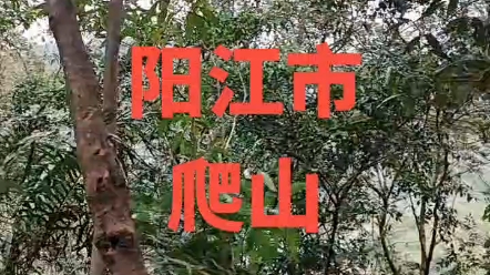 阳江市看风景哔哩哔哩bilibili