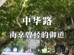 Descargar video: 南京曾经的御道-中华路