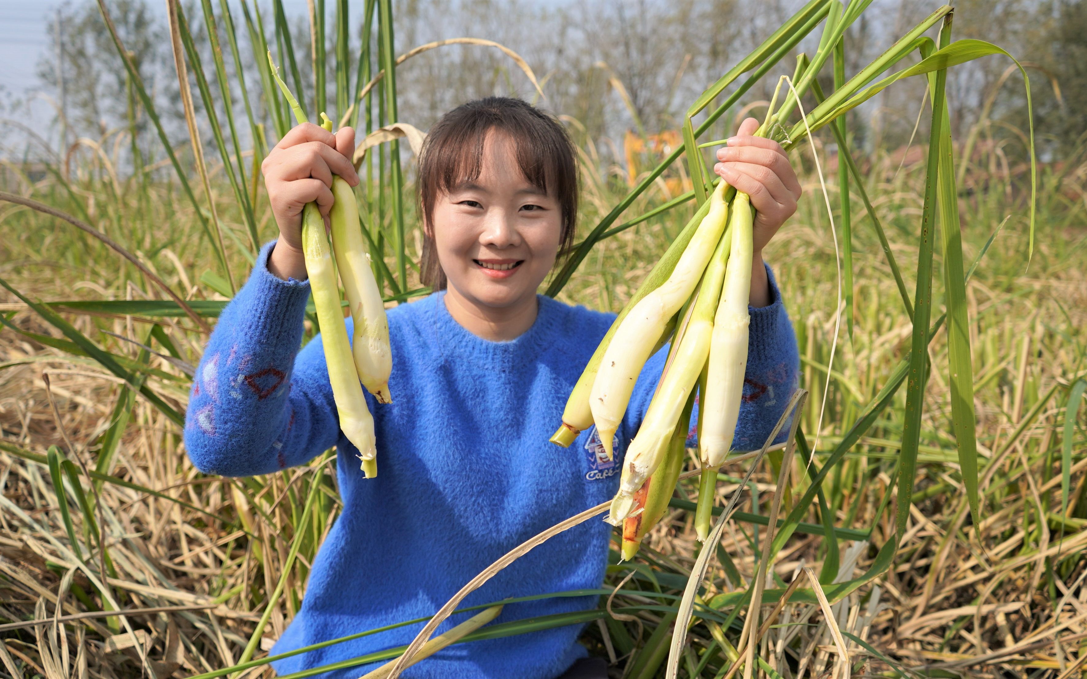 农村的茭白成熟了,莹莹拔十几根做美食,味道鲜营养好