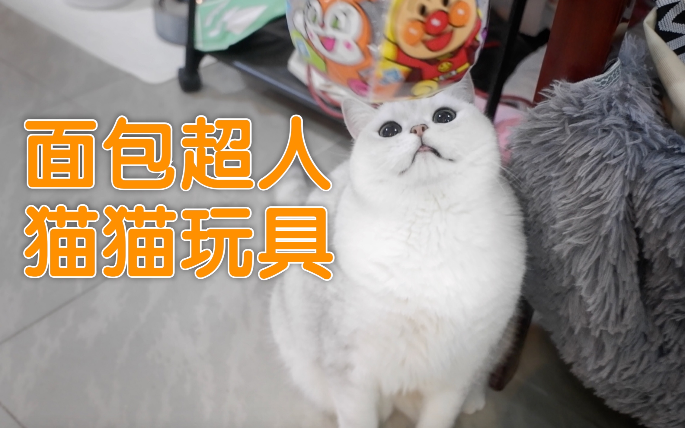 面包超人猫猫玩具!成功召唤可爱猫猫,得到猫猫芳心了吗!